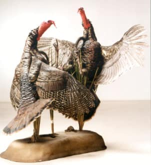 Trophyp 5
