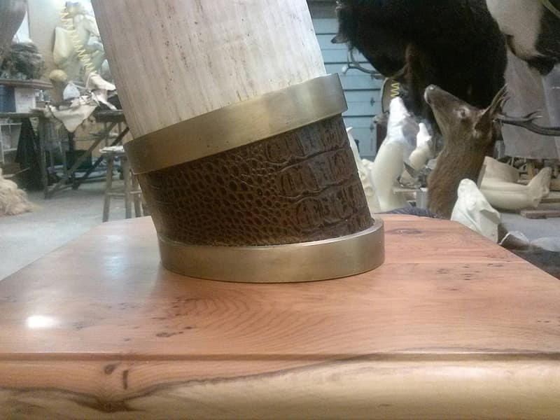 Trophyp 912